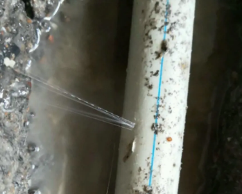 龙马潭卫生间测漏水多少钱