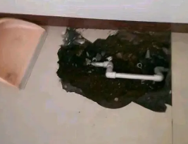 龙马潭卫生间测漏水多少钱